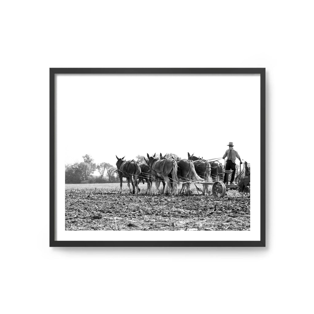 Amish 4 Workers